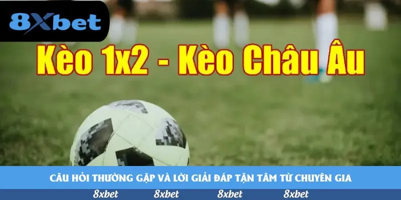 8xbet - bóng đá cá cược