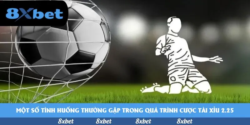 8xbet - fabet cá cược bóng đá