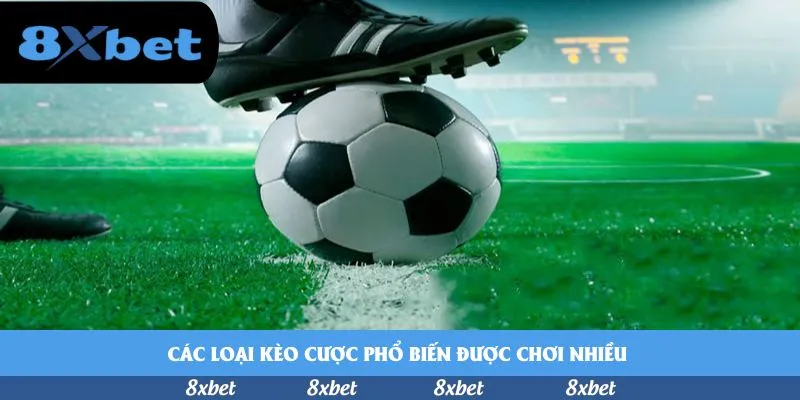 8xbet - links vào 12bet