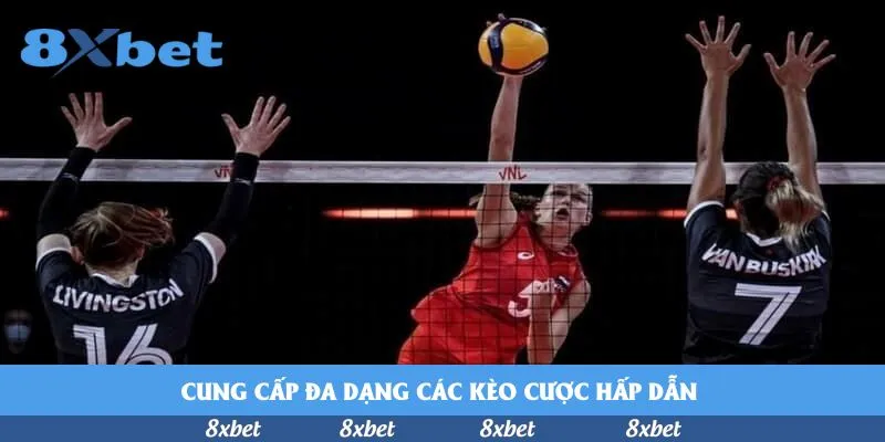 8xbet - khuyến mãi bk8