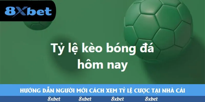 8xbet - 78win hoa hồng đại lý