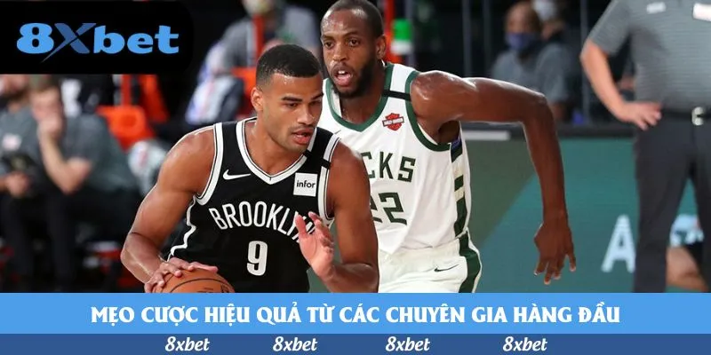 8xbet - yo88 cá cược bóng đá